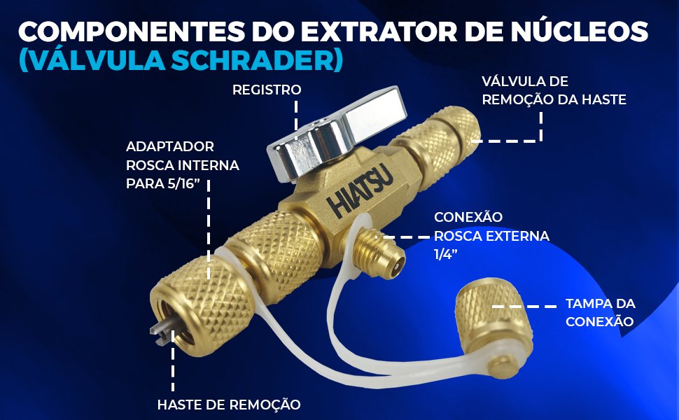 hiatsu válvula VCRH-1 componentes do extrator e núcleos válvula schrader